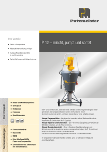 P 12 Sprayboy Prospekt DE